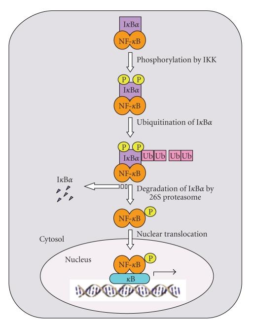 https://cdn.ncbi.nlm.nih.gov/pmc/blobs/cc86/2855089/d33f577a6e4a/MI2010-823821.003.jpg