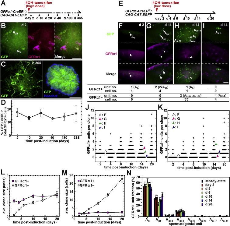 https://cdn.ncbi.nlm.nih.gov/pmc/blobs/cc8c/4010676/c9193616f90a/gr2.jpg