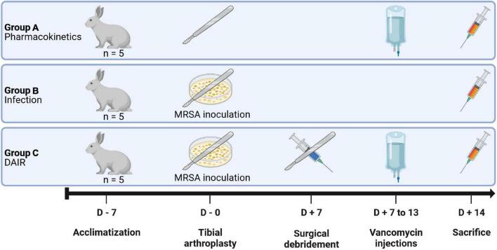 https://cdn.ncbi.nlm.nih.gov/pmc/blobs/cc91/9606572/2e9aadac2a16/fmed-09-984814-g001.jpg