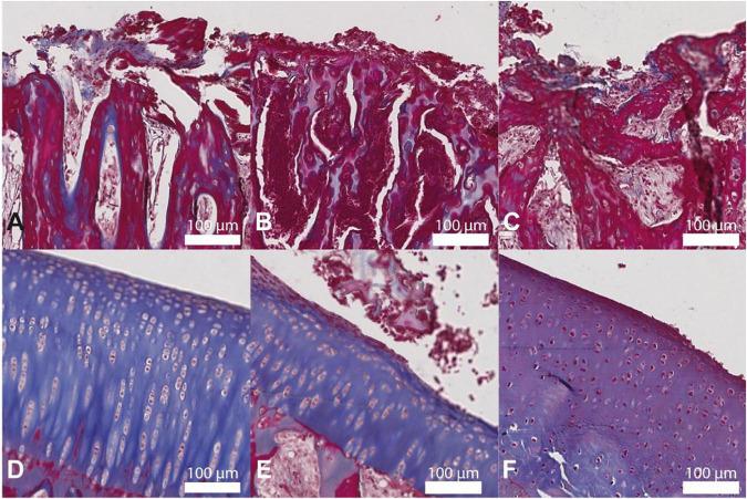https://cdn.ncbi.nlm.nih.gov/pmc/blobs/cc91/9606572/c6fda932c86d/fmed-09-984814-g007.jpg