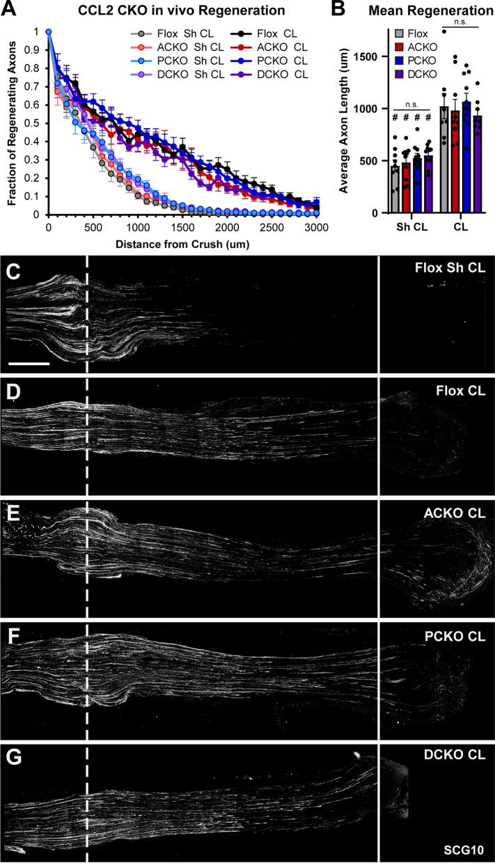 https://cdn.ncbi.nlm.nih.gov/pmc/blobs/cc92/9277969/2726bbef661d/12974_2022_2497_Fig5_HTML.jpg