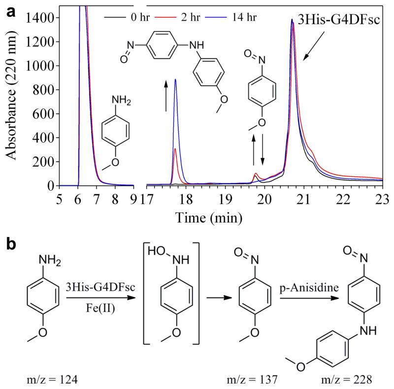 https://cdn.ncbi.nlm.nih.gov/pmc/blobs/cc93/3568993/d52fe3414fef/nihms399993f6.jpg