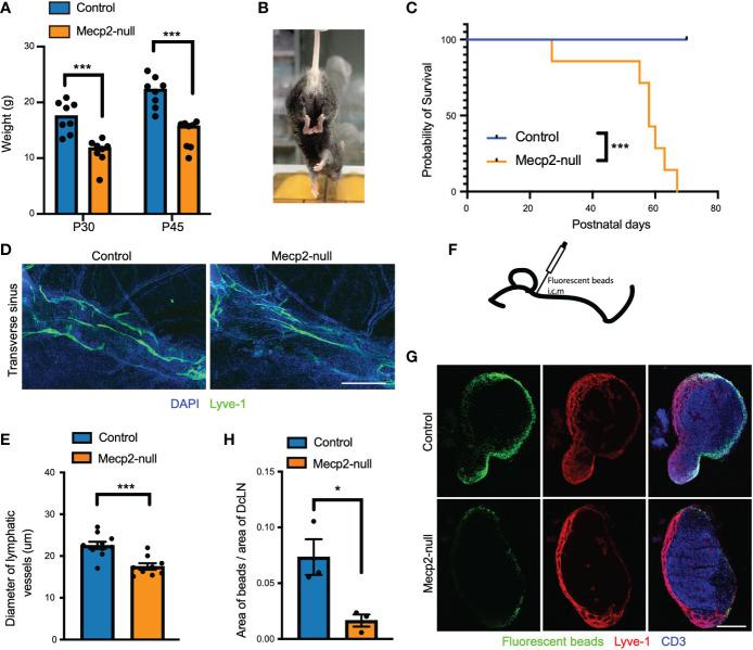https://cdn.ncbi.nlm.nih.gov/pmc/blobs/cc93/9871622/4628d6f3de76/fimmu-13-1056447-g001.jpg