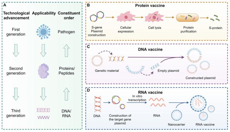 https://cdn.ncbi.nlm.nih.gov/pmc/blobs/cc94/12316028/9ea16bd08fe6/thnov15p7779g004.jpg