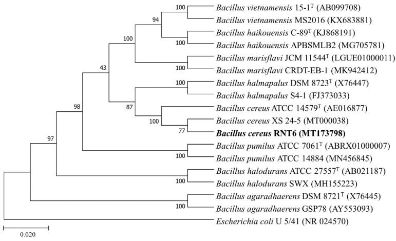 https://cdn.ncbi.nlm.nih.gov/pmc/blobs/cc94/8065826/d407637ac289/nanomaterials-11-00884-g001.jpg