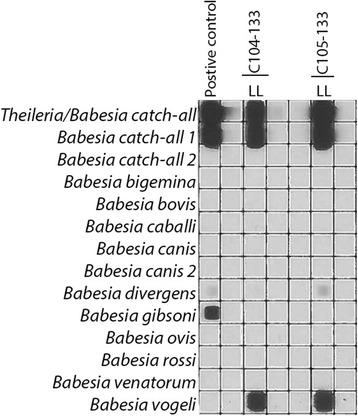 https://cdn.ncbi.nlm.nih.gov/pmc/blobs/cc98/5859485/8b9b428ba7a0/13071_2018_2722_Fig3_HTML.jpg