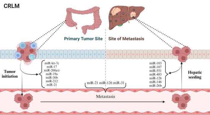 https://cdn.ncbi.nlm.nih.gov/pmc/blobs/cc9a/12008659/23aeca898c8a/IJMS-50-202-g002.jpg