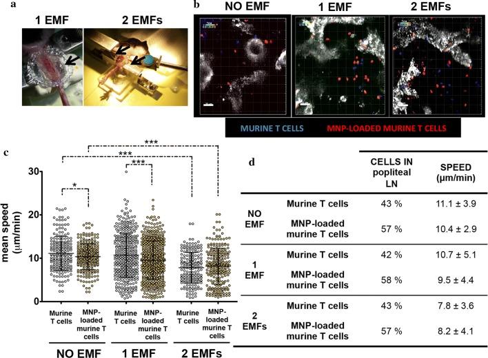 https://cdn.ncbi.nlm.nih.gov/pmc/blobs/cc9a/6341614/3c3475446f7b/12951_2019_440_Fig9_HTML.jpg