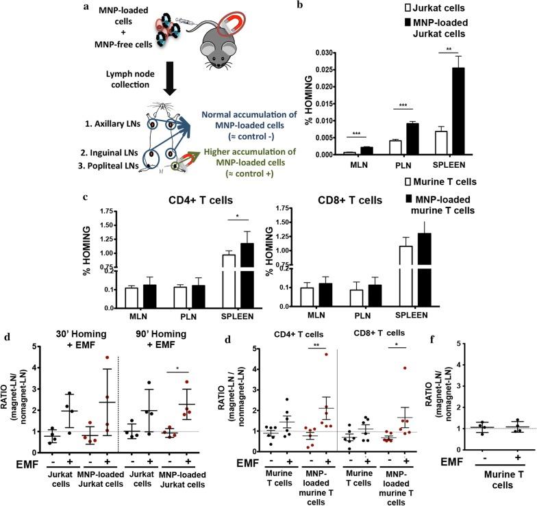 https://cdn.ncbi.nlm.nih.gov/pmc/blobs/cc9a/6341614/65a566172f0f/12951_2019_440_Fig7_HTML.jpg