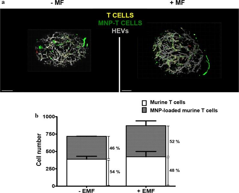 https://cdn.ncbi.nlm.nih.gov/pmc/blobs/cc9a/6341614/9127d3097638/12951_2019_440_Fig8_HTML.jpg