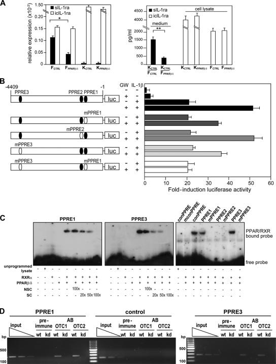 https://cdn.ncbi.nlm.nih.gov/pmc/blobs/cc9c/2699156/f5e7a129858f/JCB_200809028_GS_Fig4.jpg