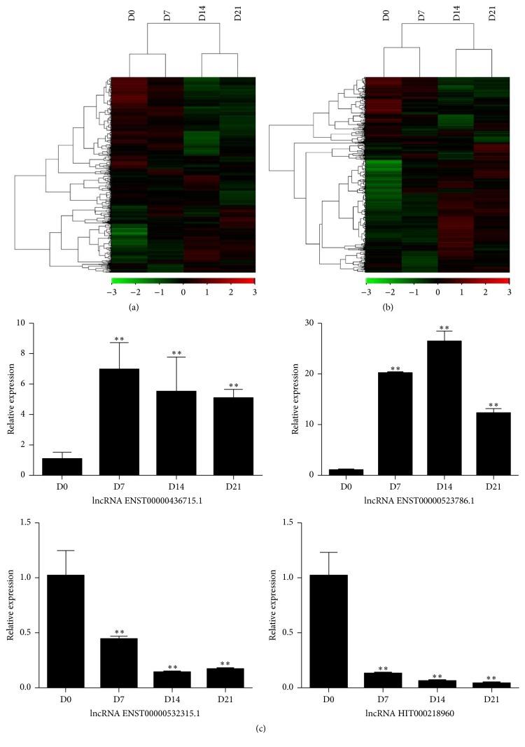https://cdn.ncbi.nlm.nih.gov/pmc/blobs/cc9d/5425846/fffe22e951be/BMRI2017-5045827.002.jpg