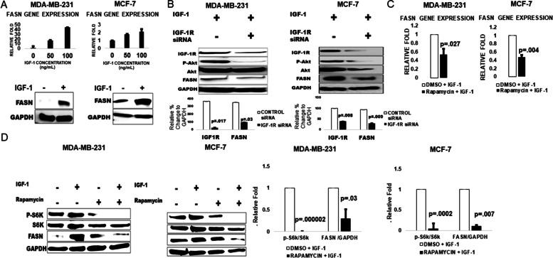 https://cdn.ncbi.nlm.nih.gov/pmc/blobs/cca0/9469522/59c50d9ced88/12885_2022_10062_Fig1_HTML.jpg