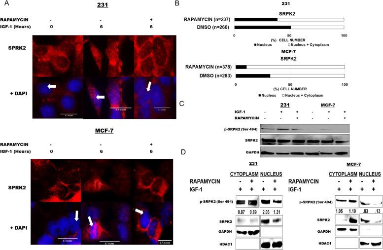 https://cdn.ncbi.nlm.nih.gov/pmc/blobs/cca0/9469522/aa8d33e93914/12885_2022_10062_Fig2_HTML.jpg