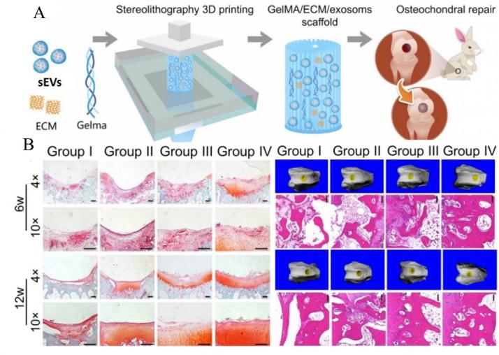 https://cdn.ncbi.nlm.nih.gov/pmc/blobs/cca1/11648406/d16b763a383e/evcna-4-2-218.fig.6.jpg