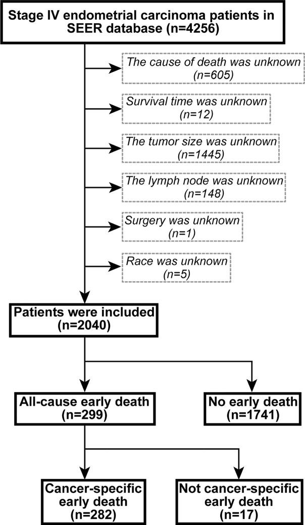 https://cdn.ncbi.nlm.nih.gov/pmc/blobs/cca1/7769006/0409cc68c2d9/fonc-10-620240-g001.jpg