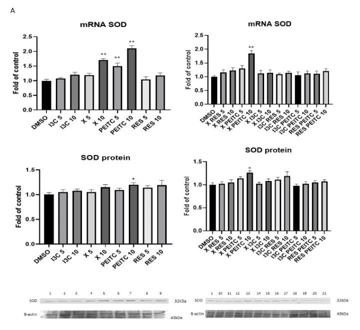 https://cdn.ncbi.nlm.nih.gov/pmc/blobs/cca4/8465864/1d083bf067a1/nutrients-13-03000-g006a.jpg