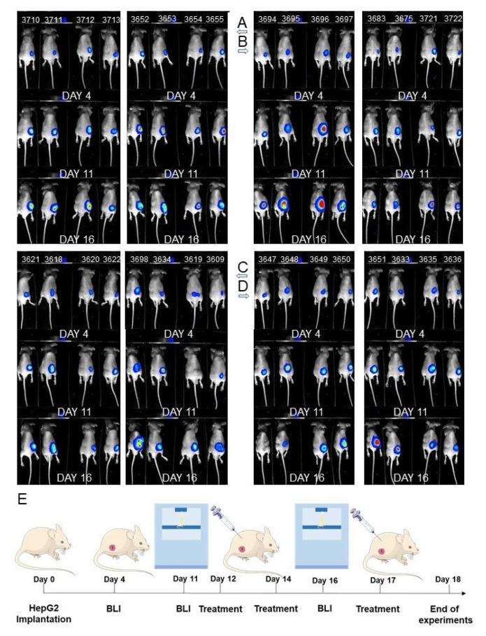 https://cdn.ncbi.nlm.nih.gov/pmc/blobs/cca4/8465864/26af59555f8f/nutrients-13-03000-g013.jpg