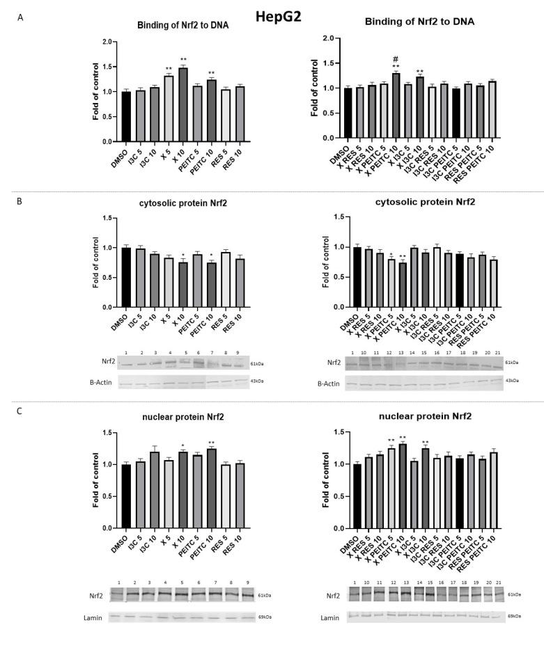 https://cdn.ncbi.nlm.nih.gov/pmc/blobs/cca4/8465864/b9a0555203cc/nutrients-13-03000-g004.jpg
