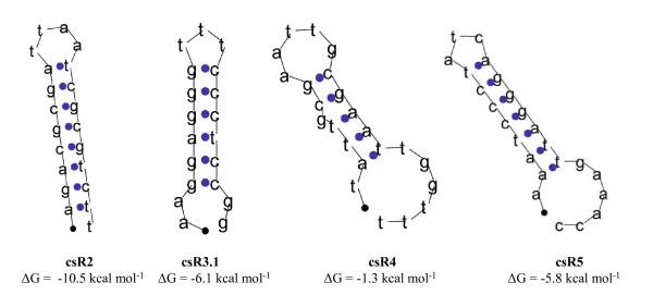 https://cdn.ncbi.nlm.nih.gov/pmc/blobs/cca7/2408588/ea8f88c66bbb/1471-2180-8-69-4.jpg