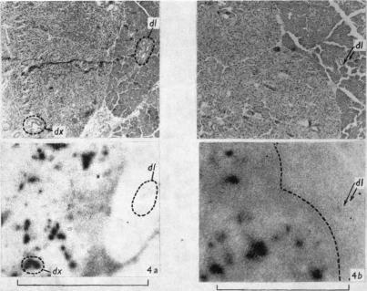 https://cdn.ncbi.nlm.nih.gov/pmc/blobs/ccaa/1359192/2bedad840dde/jphysiol01369-0220-b.jpg