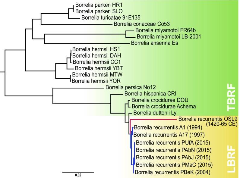 https://cdn.ncbi.nlm.nih.gov/pmc/blobs/ccaa/6187149/14ade8ec1d88/pnas.1807266115fig04.jpg