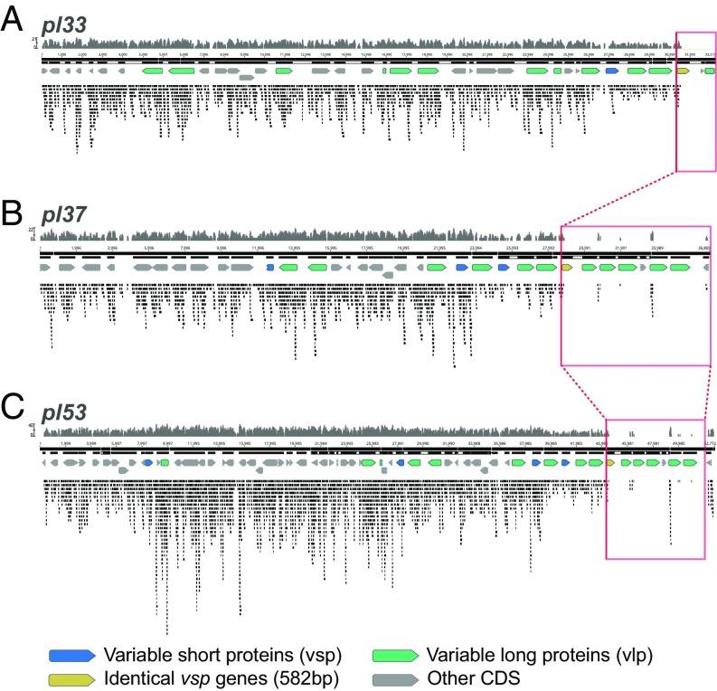 https://cdn.ncbi.nlm.nih.gov/pmc/blobs/ccaa/6187149/c97be3381852/pnas.1807266115fig03.jpg
