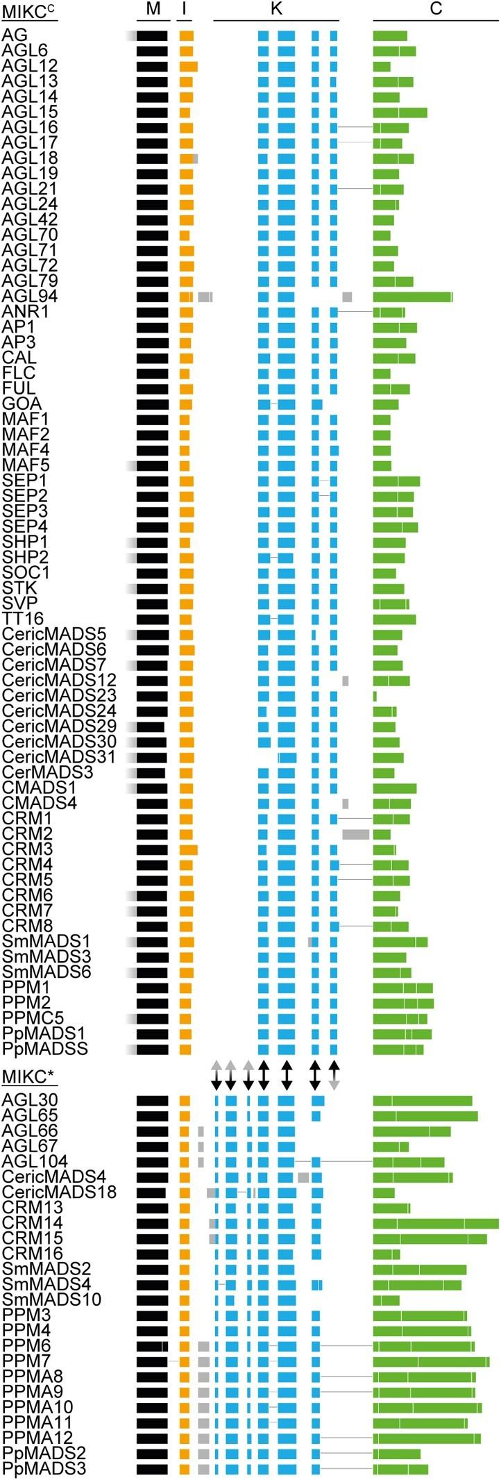 https://cdn.ncbi.nlm.nih.gov/pmc/blobs/ccab/10152394/0b17cfbae859/msad088f2.jpg