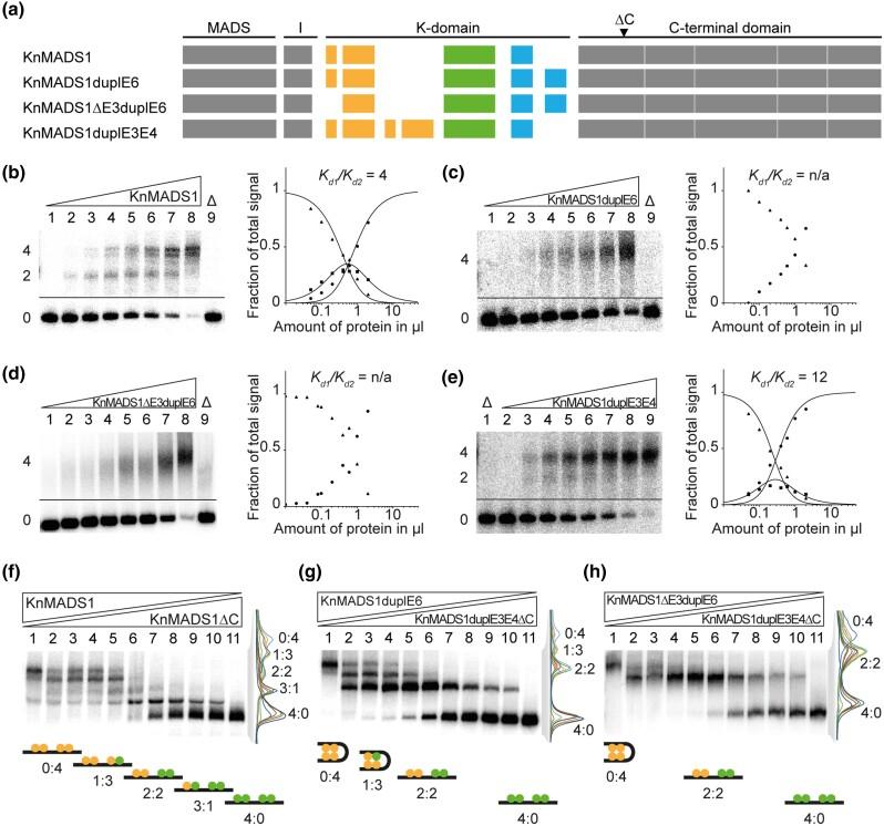 https://cdn.ncbi.nlm.nih.gov/pmc/blobs/ccab/10152394/5106e6f1f3c9/msad088f5.jpg