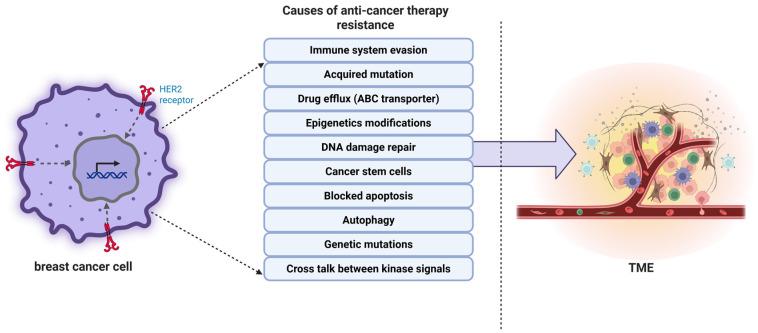 https://cdn.ncbi.nlm.nih.gov/pmc/blobs/ccab/12108606/ad91a6b70f47/biology-14-00497-g001.jpg