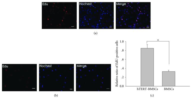 https://cdn.ncbi.nlm.nih.gov/pmc/blobs/ccac/5444038/425a940d1bf6/SCI2017-6082684.004.jpg