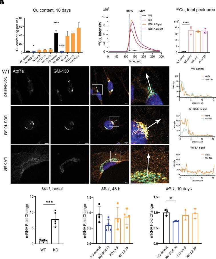 https://cdn.ncbi.nlm.nih.gov/pmc/blobs/ccb2/10556618/ec34844589bb/pnas.2305961120fig02.jpg