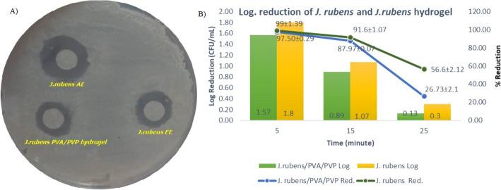 https://cdn.ncbi.nlm.nih.gov/pmc/blobs/ccb3/11695445/3332547ab988/12010_2024_4997_Fig4_HTML.jpg