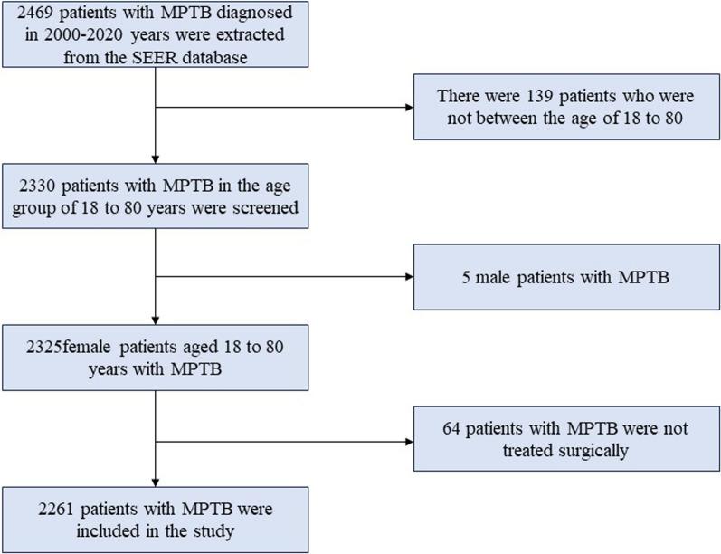 https://cdn.ncbi.nlm.nih.gov/pmc/blobs/ccb4/11107058/3aba28f7d2ed/13014_2024_2442_Fig1_HTML.jpg