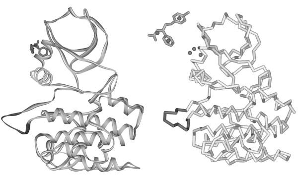 https://cdn.ncbi.nlm.nih.gov/pmc/blobs/ccb4/2888814/0595f44b7f67/1472-6807-10-11-1.jpg