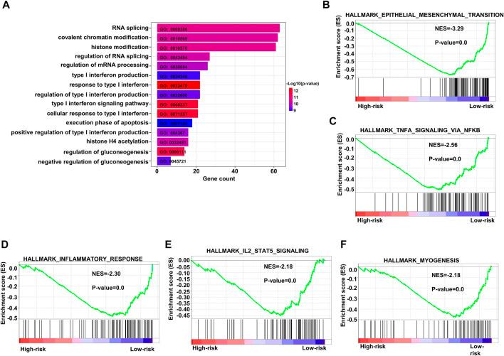 https://cdn.ncbi.nlm.nih.gov/pmc/blobs/ccb7/9902697/123592a94ef3/fgene-13-1092678-g008.jpg
