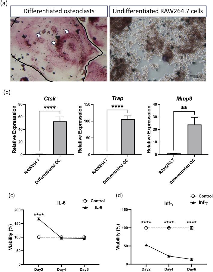 https://cdn.ncbi.nlm.nih.gov/pmc/blobs/ccb9/12062438/307ed9167753/41598_2025_99772_Fig1_HTML.jpg