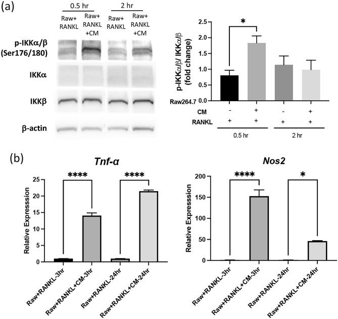 https://cdn.ncbi.nlm.nih.gov/pmc/blobs/ccb9/12062438/38a1f7efeca5/41598_2025_99772_Fig3_HTML.jpg
