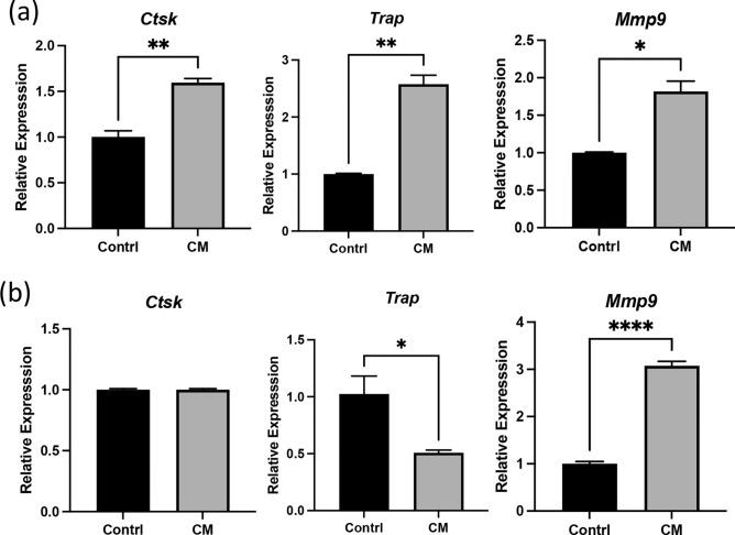 https://cdn.ncbi.nlm.nih.gov/pmc/blobs/ccb9/12062438/99784aa788ac/41598_2025_99772_Fig5_HTML.jpg