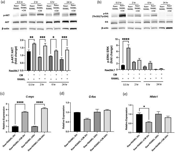 https://cdn.ncbi.nlm.nih.gov/pmc/blobs/ccb9/12062438/a65db926198a/41598_2025_99772_Fig4_HTML.jpg