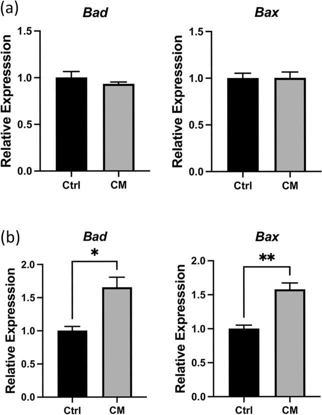 https://cdn.ncbi.nlm.nih.gov/pmc/blobs/ccb9/12062438/b16d56654e6d/41598_2025_99772_Fig6_HTML.jpg