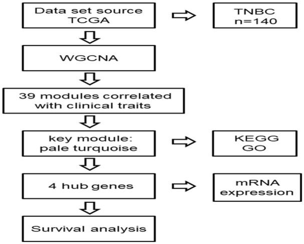 https://cdn.ncbi.nlm.nih.gov/pmc/blobs/ccba/7476344/12766608f4e4/10.1177_1176934320954868-fig1.jpg