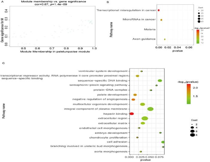 https://cdn.ncbi.nlm.nih.gov/pmc/blobs/ccba/7476344/4ba99ca15011/10.1177_1176934320954868-fig4.jpg