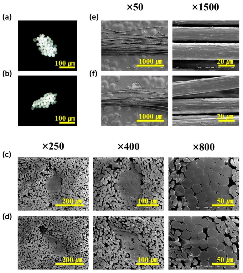https://cdn.ncbi.nlm.nih.gov/pmc/blobs/ccbb/11859704/73d5ef41fc46/polymers-17-00527-g005.jpg
