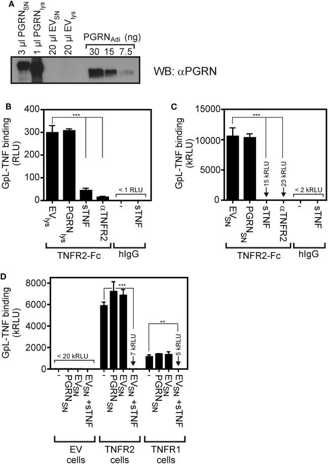 https://cdn.ncbi.nlm.nih.gov/pmc/blobs/ccbd/5925078/197773afa0b3/fimmu-09-00793-g002.jpg