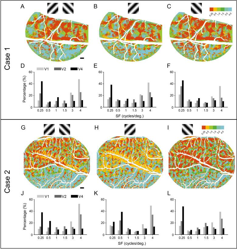 https://cdn.ncbi.nlm.nih.gov/pmc/blobs/ccbd/9848390/0b36db44f2ea/elife-81794-fig3-figsupp1.jpg