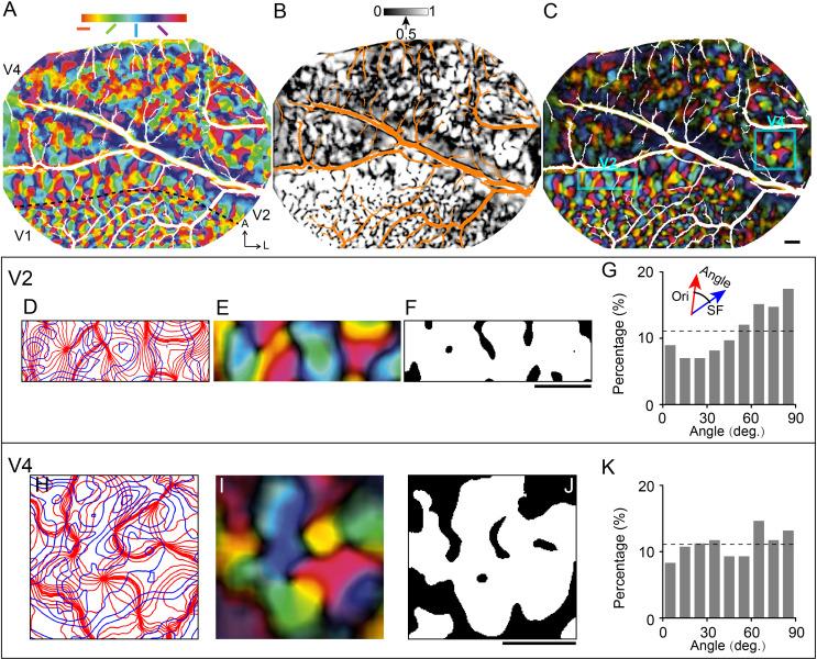https://cdn.ncbi.nlm.nih.gov/pmc/blobs/ccbd/9848390/de89a7197734/elife-81794-fig6-figsupp2.jpg