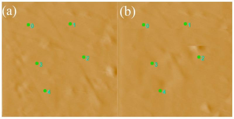 https://cdn.ncbi.nlm.nih.gov/pmc/blobs/ccbe/6432317/3e4339d6964b/polymers-08-00344-g002.jpg