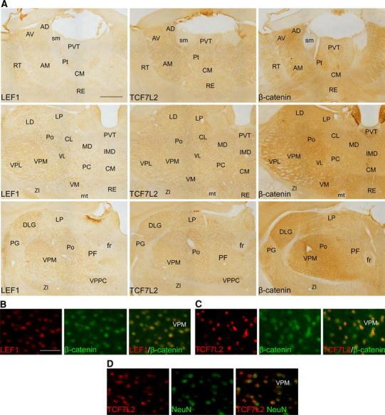 https://cdn.ncbi.nlm.nih.gov/pmc/blobs/ccc2/3825142/df10d2aa6b71/429_2012_474_Fig6_HTML.jpg