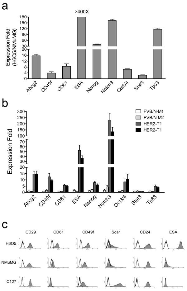 https://cdn.ncbi.nlm.nih.gov/pmc/blobs/ccc4/3260386/168244ed2c8b/nihms320648f1.jpg